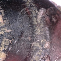 H1-80535_om (2).jpg H1-80535_om (2).jpg