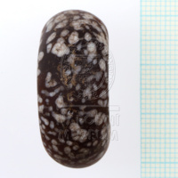 H1-80593 (3).JPG H1-80593 (3).JPG