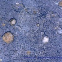 H1-57008_om (3).jpg H1-57008_om (3).jpg