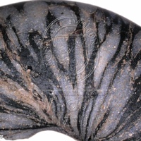 H1-80592_om (1).jpg H1-80592_om (1).jpg