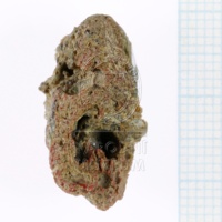 H1-64714_e_po (1).JPG H1-64714_e_po (1).JPG