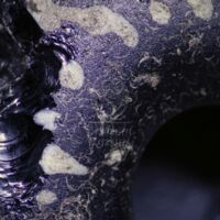 H1-121004_om (3).jpg H1-121004_om (3).jpg