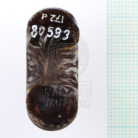 H1-80593 (4).JPG H1-80593 (4).JPG