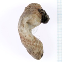 H1-64664_po (2).JPG H1-64664_po (2).JPG