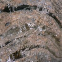 H1-80118_om (1).jpg H1-80118_om (1).jpg